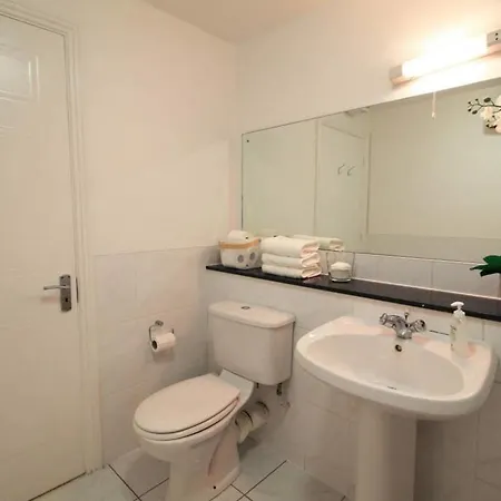 3arena Bright And Stylish 2 Bedroom 公寓 都柏林